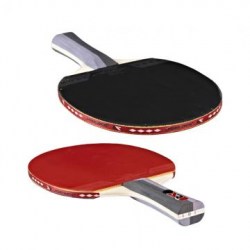 Ping pong pálka s obalem - stolní tenis pálka