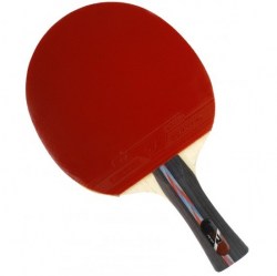Pálka na stolní tenis JOEREX J501 - 5 hvězd ping pong