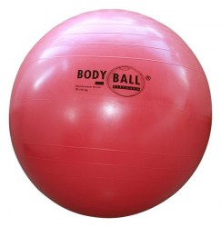 Rehabilitační míč 65 cm gymbal