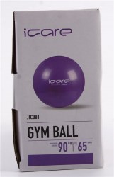 Gymball 65 cm I CARE gymnastický míč s pumpou