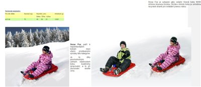 snow_fox_2
