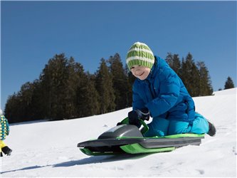 snow_fox_4
