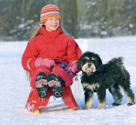 Sáně KHW Snow Shuttle